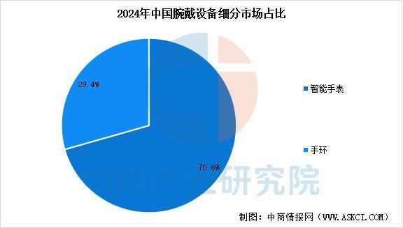 业市场前景预测研究报告（简版）2025年中国智能穿戴设备行(图13)